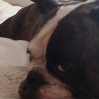 56 year old Female seeks a double room with an ol Main Photo