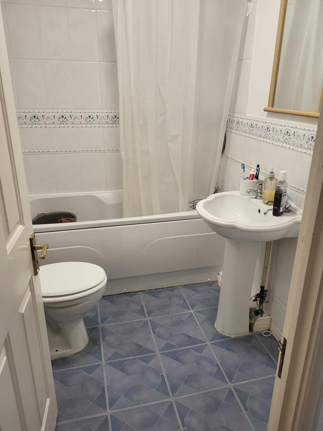 Double room  and single room available  Main Photo