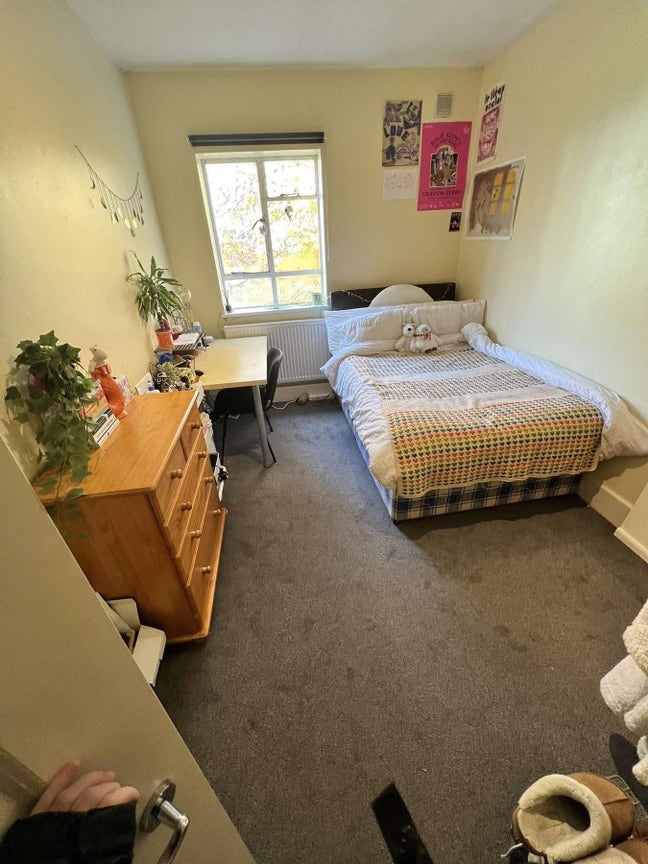 Cosy Flat in Redlands with Sociable Girls  Main Photo