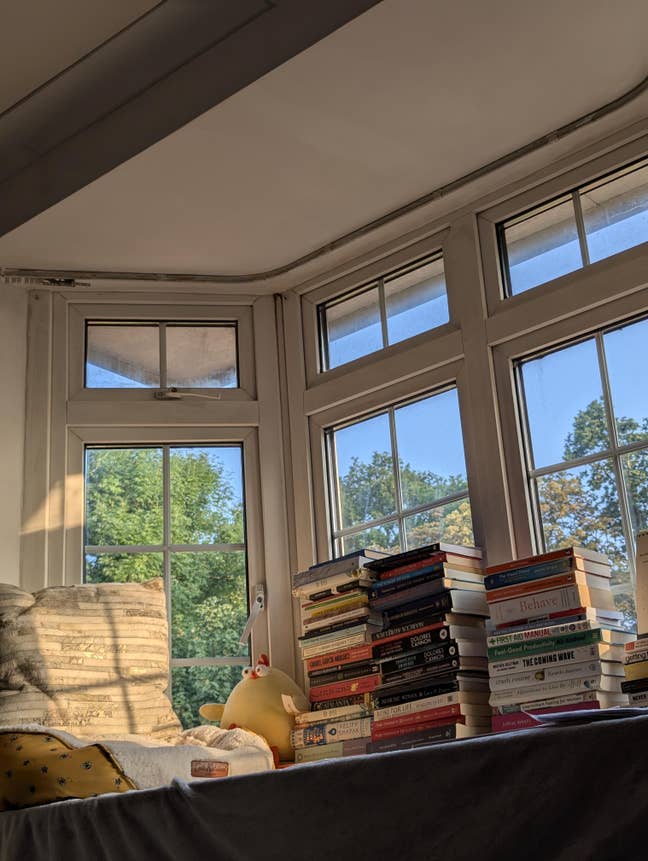 [35 gbp/ night] Room in Wembley, big garden, piano Main Photo