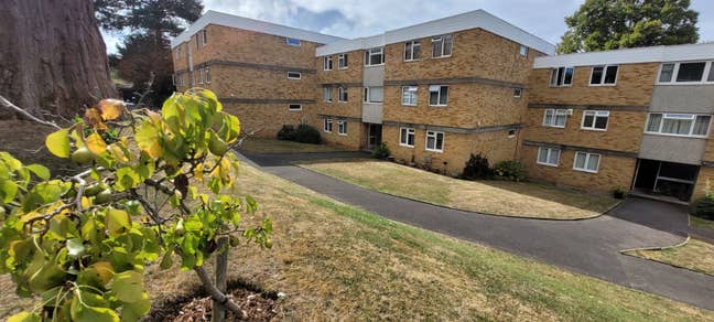 Perfect for friends - 2 Double Rooms Available  Main Photo