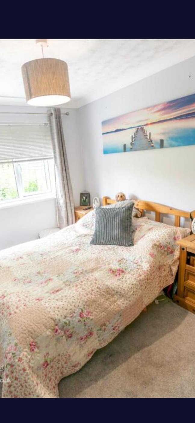 Double room available in bungalow Main Photo