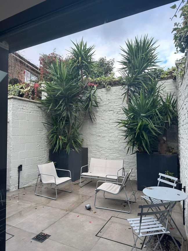Room takeover in Hackney - 1min walk to Viccy Park Main Photo