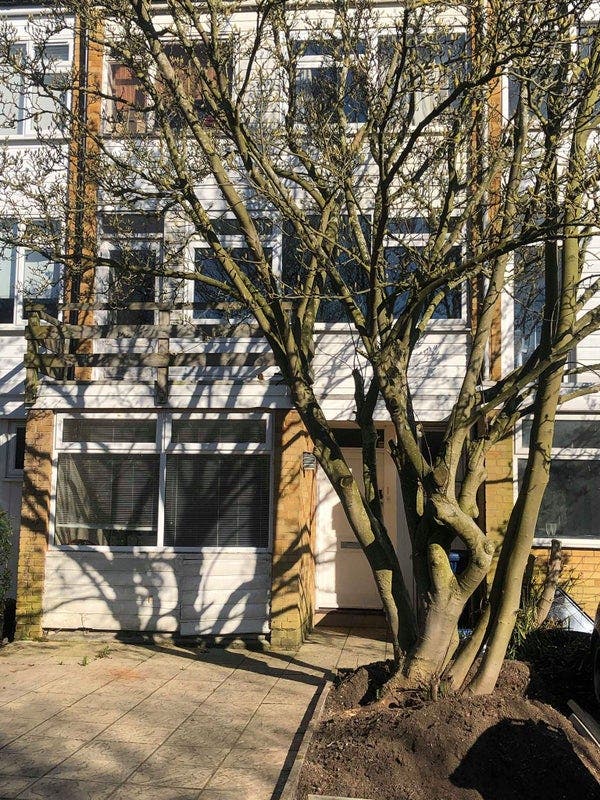Spacious Double Room in Whetstone Main Photo