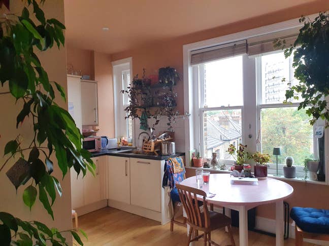 Double room in bright spacious flat  Main Photo