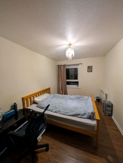 Room for Females City Center  Main Photo