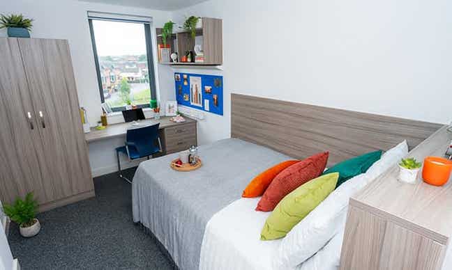 Standard Ensuite Plus available for tenancy takeov Main Photo
