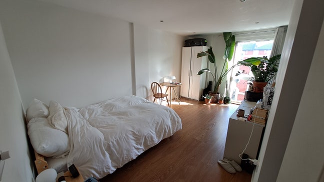 Double room in a bright flat near London Fields Main Photo