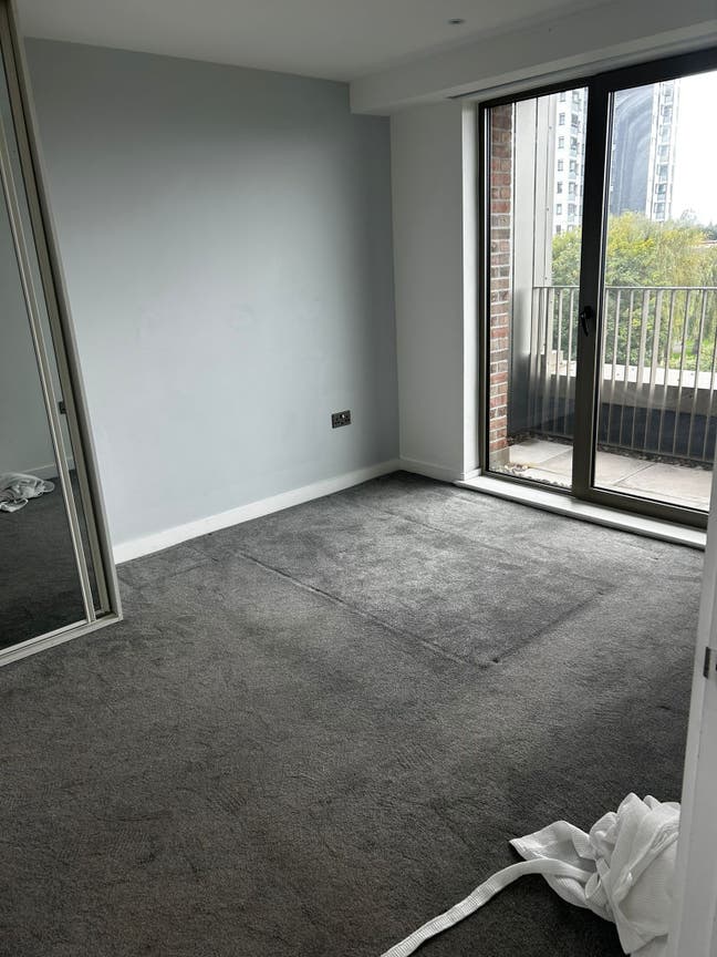 2 Bed Apartment With Cats Main Photo