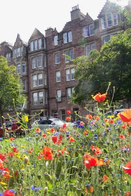 One double room, beautiful flat, on the Meadows Main Photo