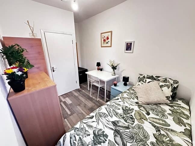 4 Beautiful Single Rooms  Main Photo