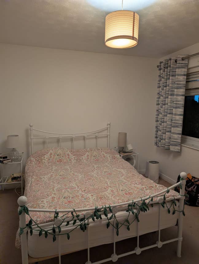 Cat-Friendly Housemate Wanted! Main Photo