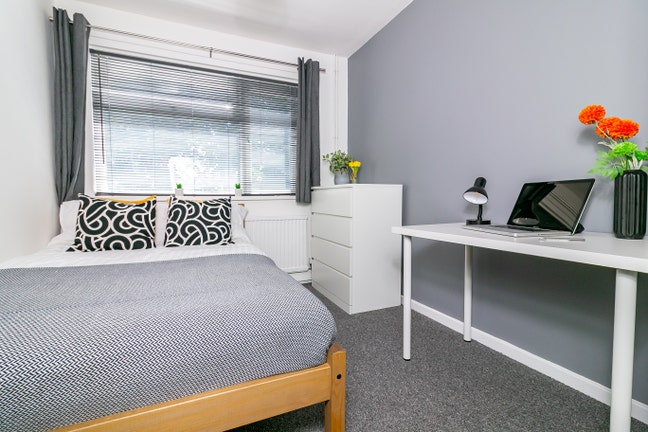 Quiet,  Clean Professional House - Bills Inc. Main Photo