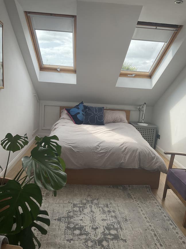 Large bright double room with own shower room  Main Photo