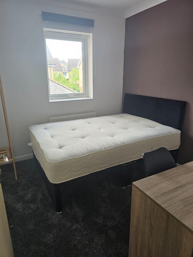 2 cozy double room in orchard park  Main Photo
