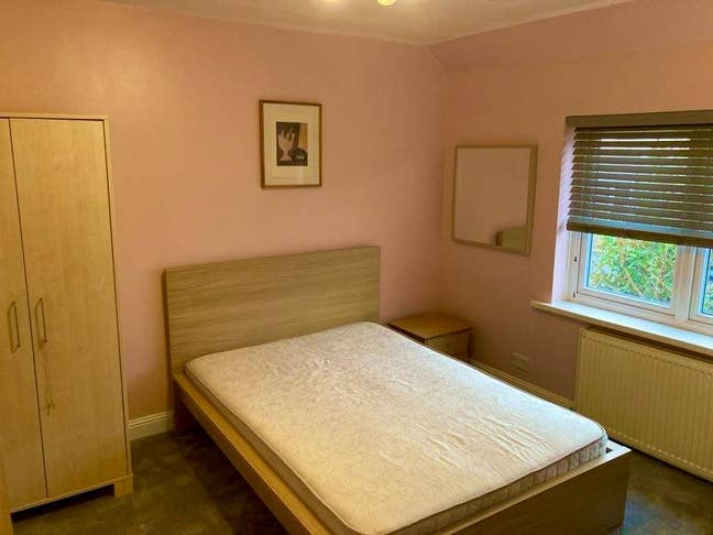Spacious Double Room for a Professional Main Photo