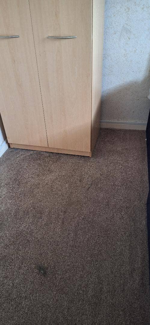 Single Room available in November Main Photo