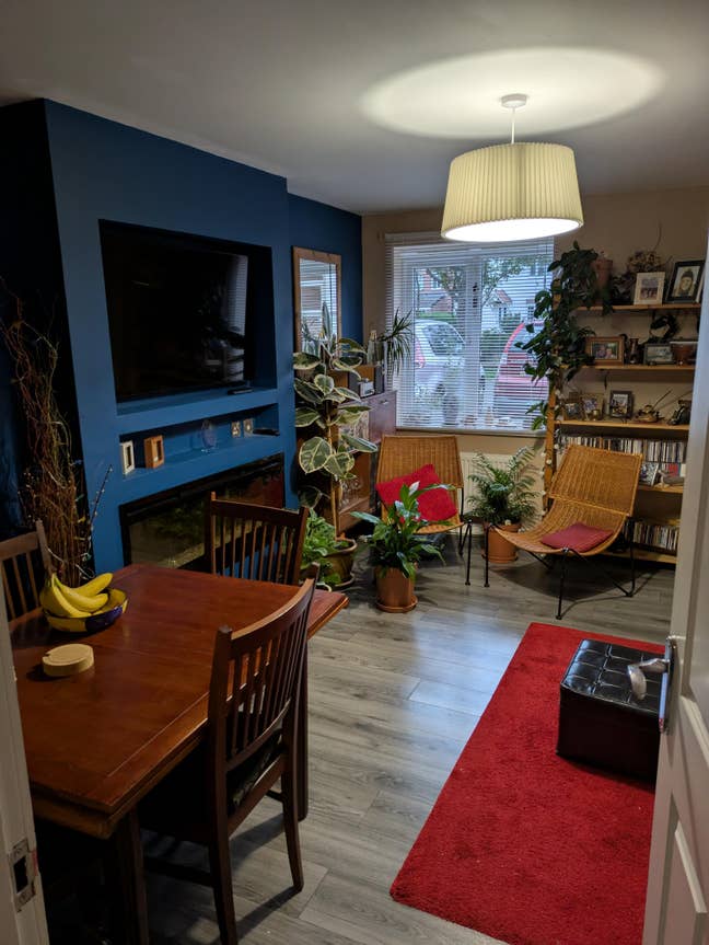 Double room in veggie household Main Photo