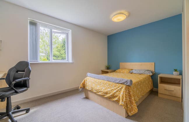Studio Available to Let Main Photo