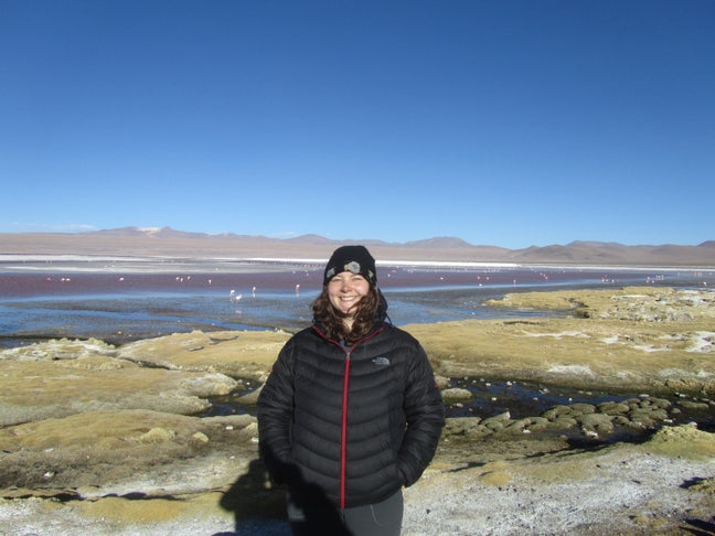 Kiwi looking for room/ people to find house with! Main Photo