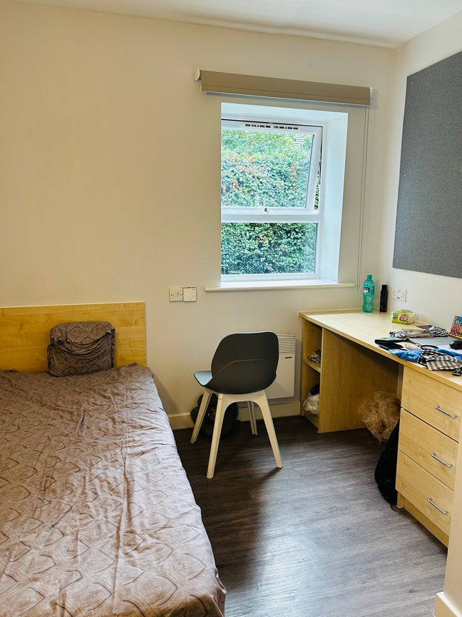 Spacious Ensuite Student Room Near University  Main Photo