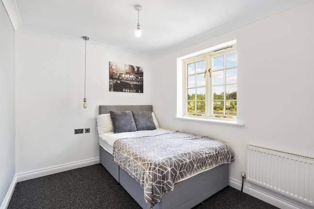 Amazing Room in King Henry Chase - PE3 Main Photo