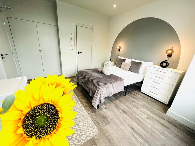 🌟 Lovely Ensuite to Let in Lewisham  | from 18/10 Main Photo