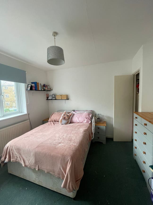 2 bedrooms in a 3 bedroom queer house 🌞 Main Photo