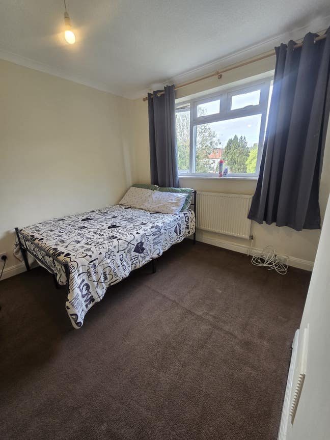 Very clean big and cozy room Main Photo