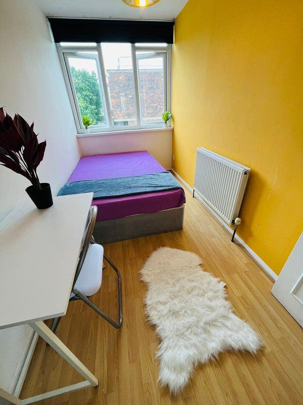 Double Room in Battersea :) Main Photo
