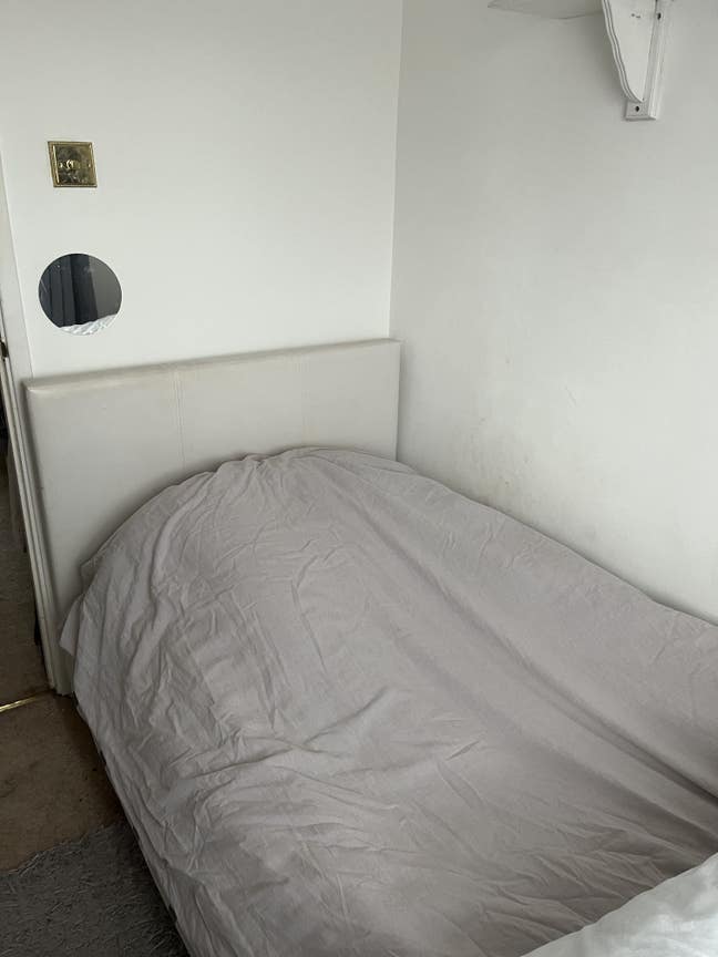 Single Room for Female Main Photo