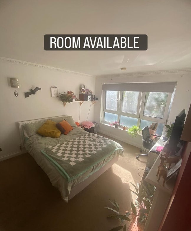 Large Double Room in Mile End  Main Photo