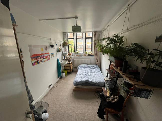 Bright room in spacious cosy house with garden Main Photo