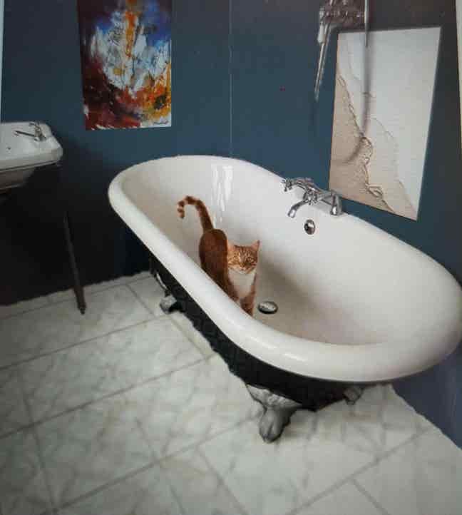 2 double rooms in friendly household in Leyton  Main Photo
