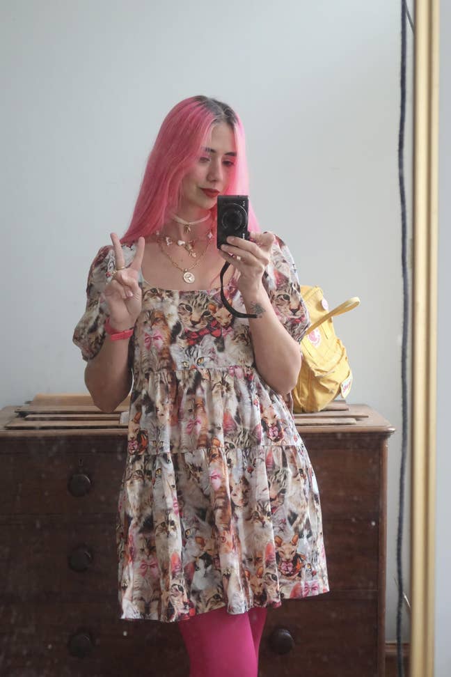 2 pals & 1 elderly dog ISO calm home Main Photo