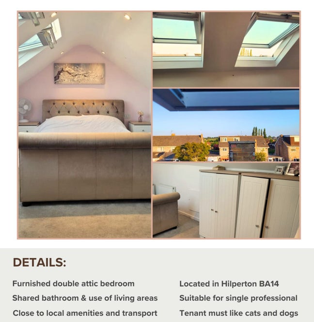 Double loft room for rent Main Photo