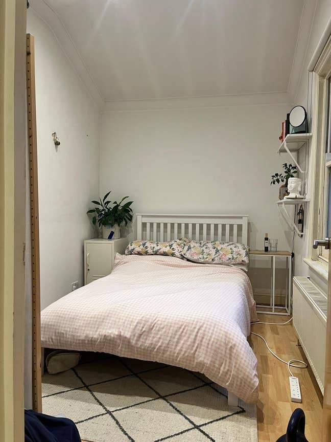 Double room in cosy North London flat  Main Photo