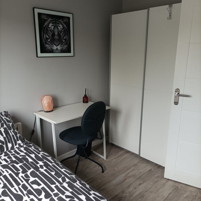 Modern Single Room Main Photo