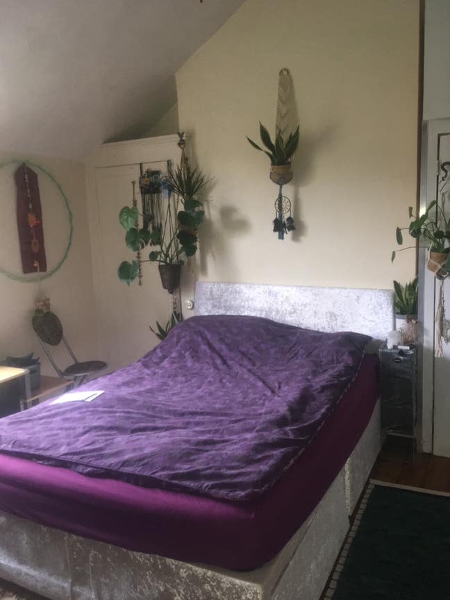 Medium Double Bedroom in Lovely Victorian House  Main Photo