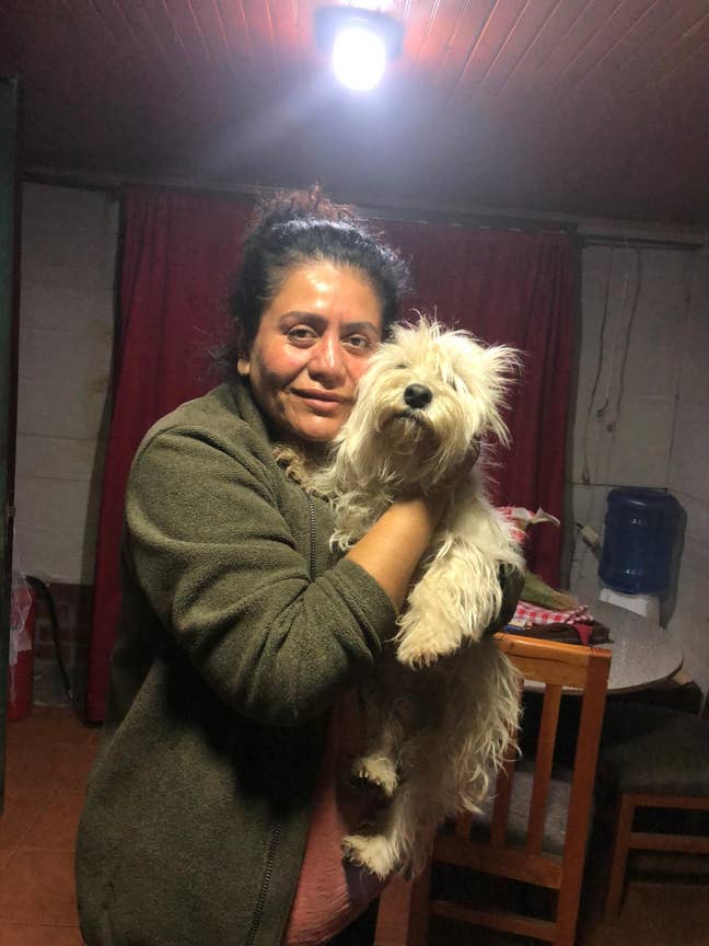 mature lady and dog seeking a room  Main Photo