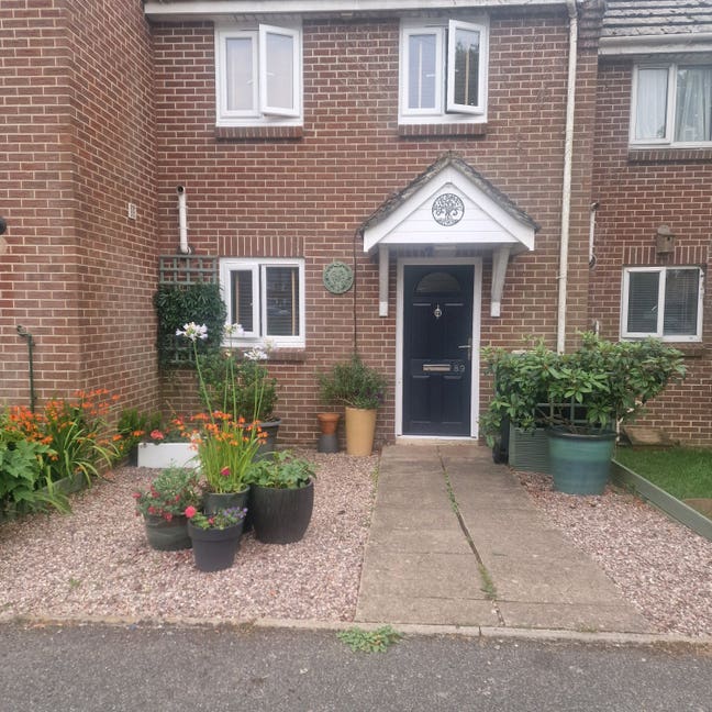 Single Room available Main Photo