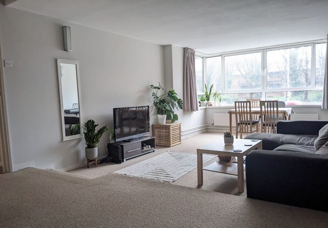Double room in spacious Hove flat! Main Photo