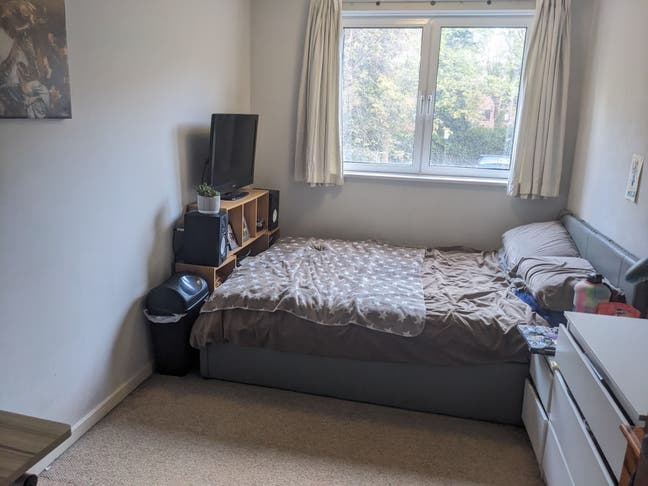 Double room in spacious Hove flat! Main Photo