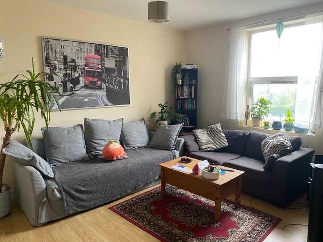 Looking for a cool flatmate in Wimbledon Park Main Photo