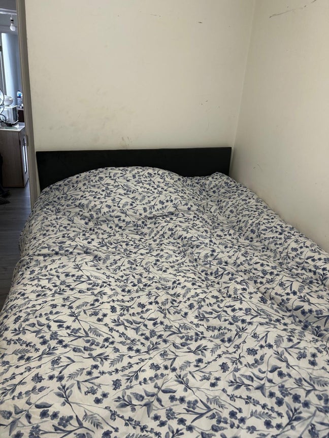1 single room for rent Main Photo