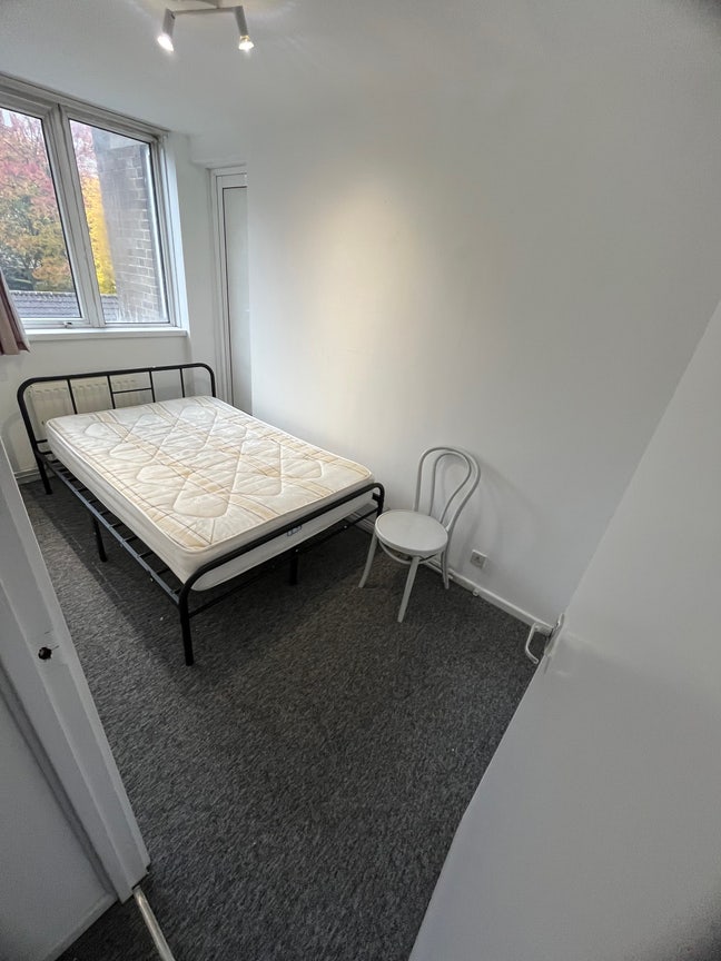 Spacious room in Paddington/Warwick Avenue Main Photo