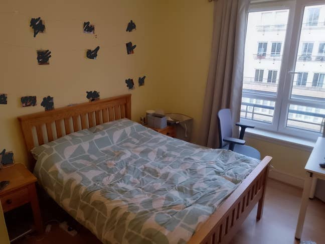 Looking for a vegan to share my flat with Main Photo