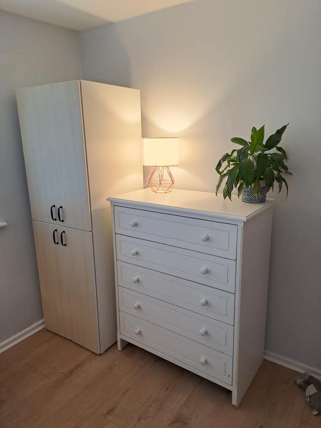 Furnished double room in lovely flat Main Photo