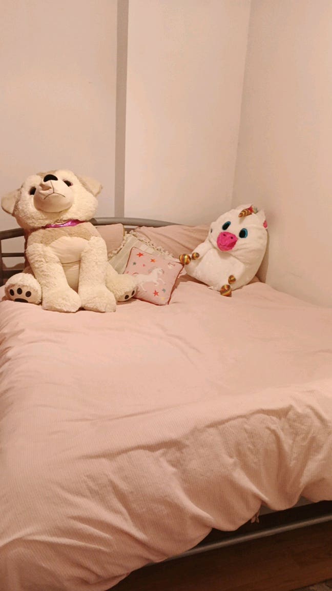 Room for Rent on Palatine Road – King Bed + Bills  Main Photo