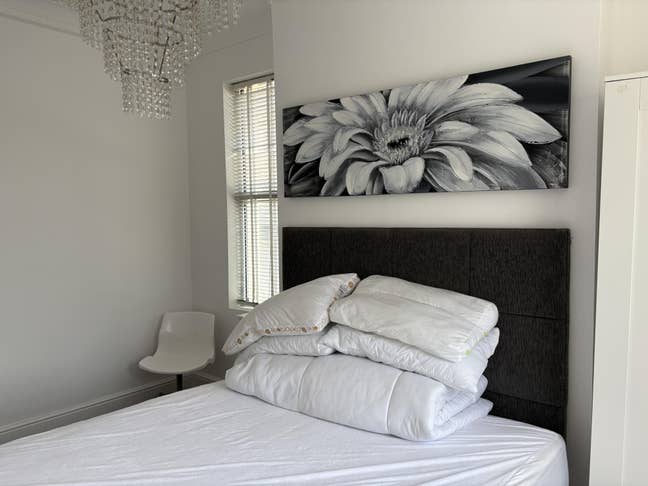 Mutley / Central Room for Rent in shared house Main Photo